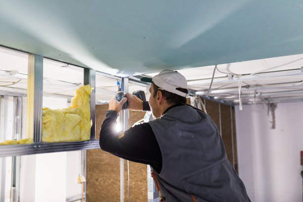 Best Cellulose Insulation in Slinger, WI