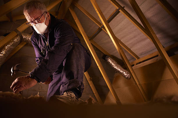 Best Geographic-Specific Insulation Services in Slinger, WI